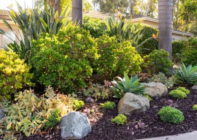 Landscaping project 18